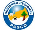 GOBIERNO REGIONAL PASCO